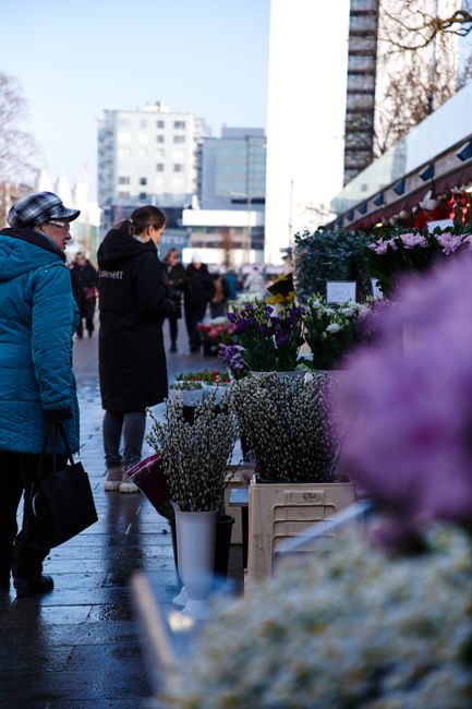 At an outdoor flower market, several flower arrangements and bouquets are displayed on white crates and tables, featuring a variety of fresh flowers including white baby's breath, purple irises, and p