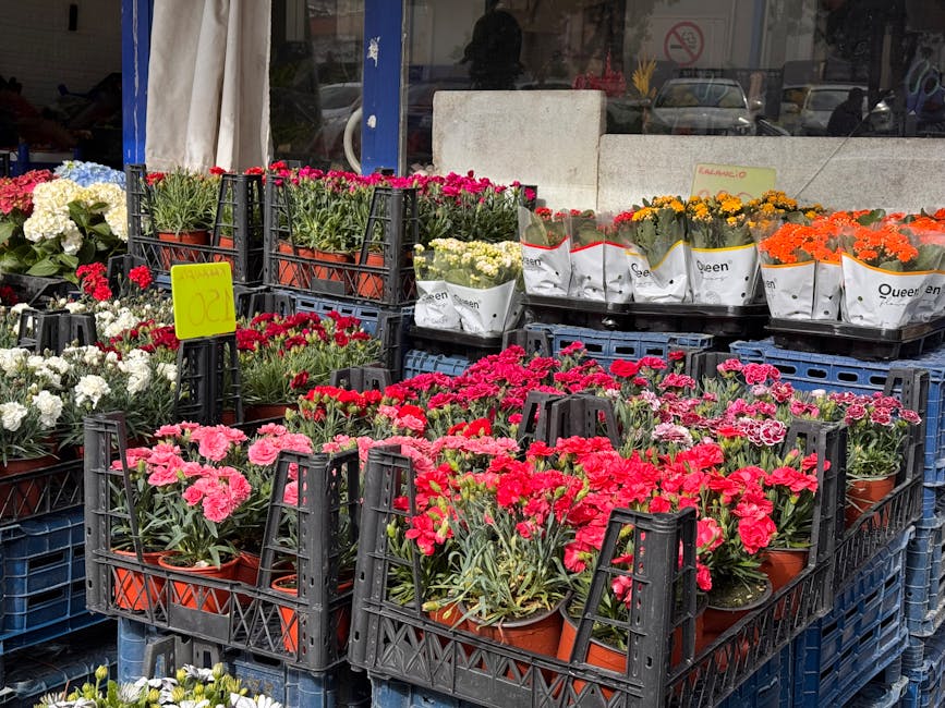 Outdoor display of vibrant potted flowers arranged on black plastic crates outside a flower shop, featuring pink, white, red, yellow, orange, and purple blooms with green foliage, wrapped in white pap