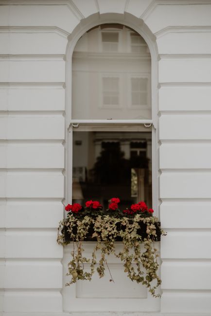 A window on a white, decorative building exterior with classic horizontal paneling, featuring a rectangular window with a rounded top. Below the window is a flower box filled with vibrant red geranium